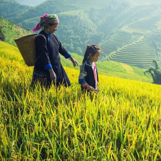 Wyjazdy grupowe do Azji - Zwiedzanie Wietnamu
