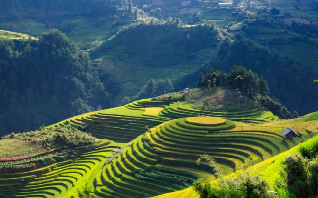 Najpiękniejsze tarasy ryżowe w Azji - Sapa, Wietnam