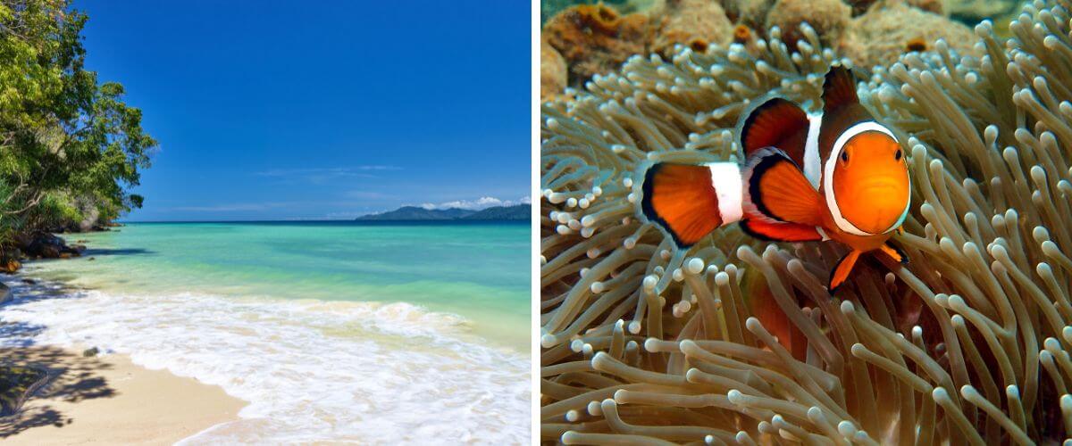 Tungkul Abdul Rahman - wypoczynek w Malezji