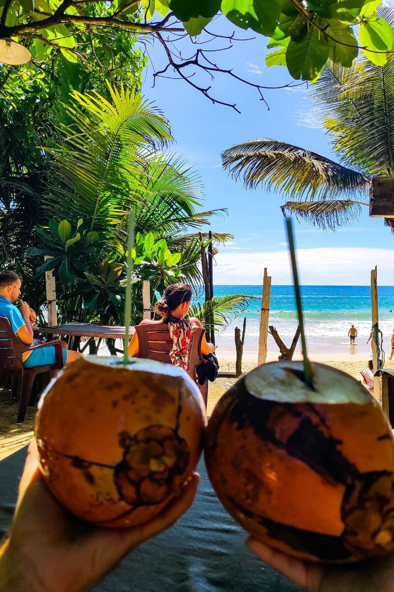 Wycieczka na Sri Lance - świeże kokosy na plaży