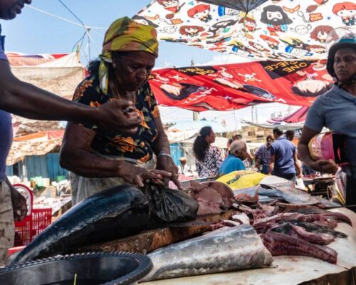 Wycieczka na Sri Lankę - targ rybny w Negombo