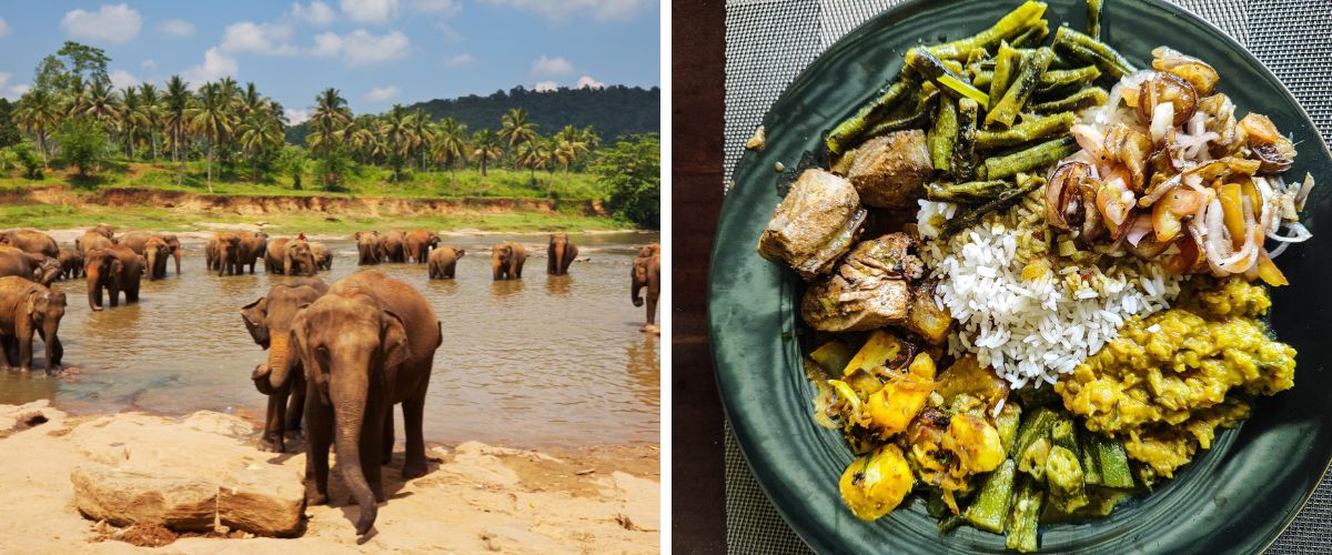 Podróz kulinarna na Sri Lankę