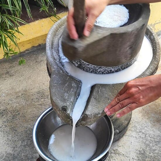 Powstawanie mąki ryżowej - wyprawa do Wietnamu